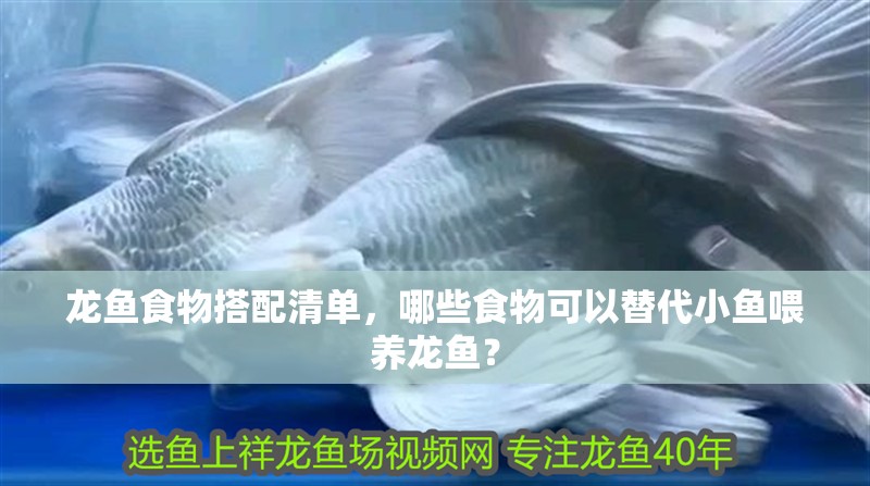 龍魚食物搭配清單，哪些食物可以替代小魚喂養龍魚？