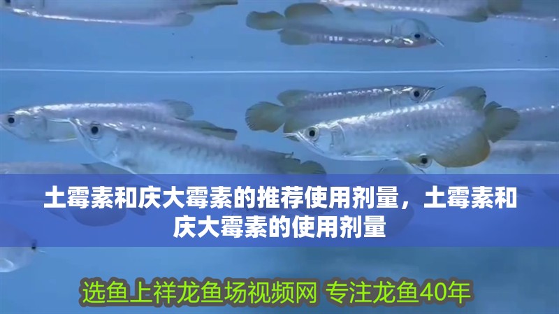 土霉素和慶大霉素的推薦使用劑量，土霉素和慶大霉素的使用劑量