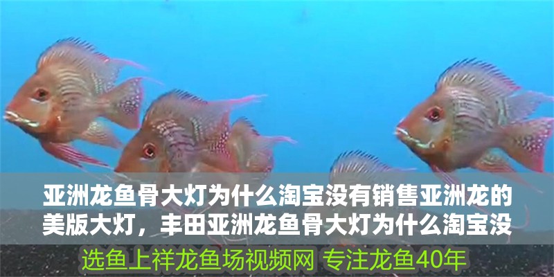 亞洲龍魚骨大燈為什么淘寶沒有銷售亞洲龍的美版大燈，豐田亞洲龍魚骨大燈為什么淘寶沒有銷售亞洲龍的優勢