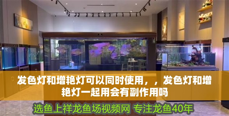 發(fā)色燈和增艷燈可以同時(shí)使用，，發(fā)色燈和增艷燈一起用會(huì)有副作用嗎