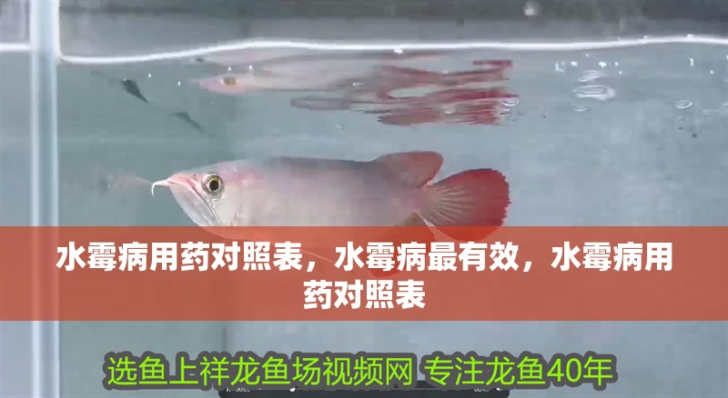 水霉病用藥對照表，水霉病最有效，水霉病用藥對照表