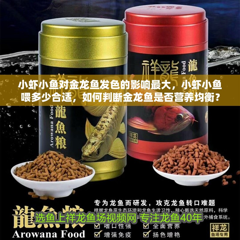 小蝦小魚對金龍魚發色的影響最大，小蝦小魚喂多少合適，如何判斷金龍魚是否營養均衡？