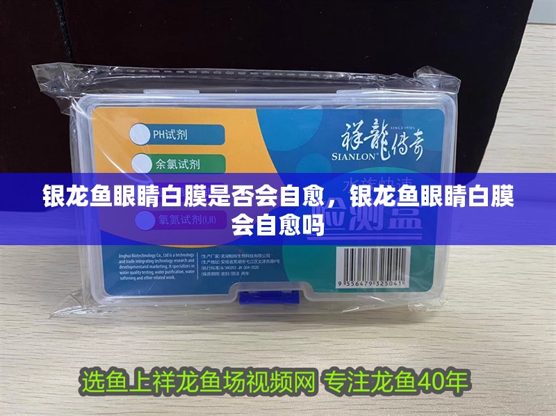 銀龍魚眼睛白膜是否會自愈，銀龍魚眼睛白膜會自愈嗎