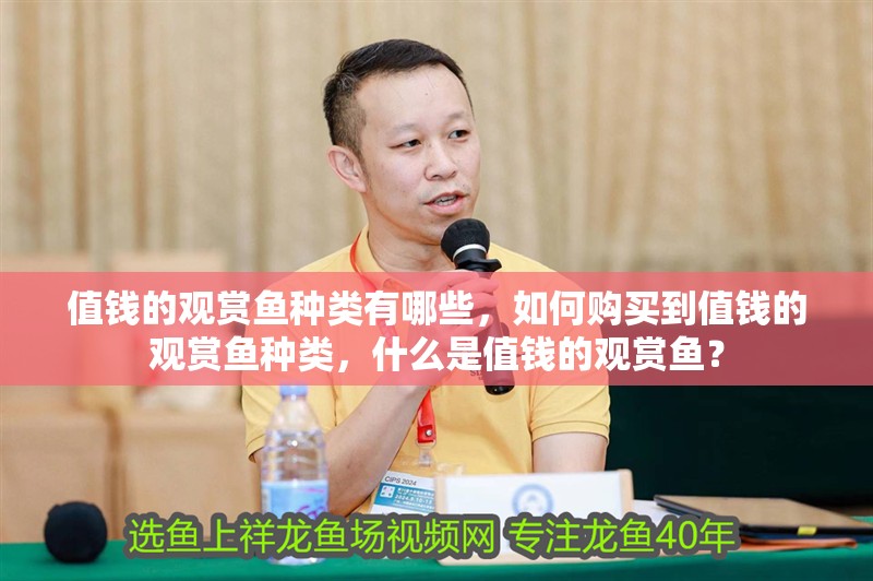 值錢的觀賞魚種類有哪些，如何購(gòu)買到值錢的觀賞魚種類，什么是值錢的觀賞魚？