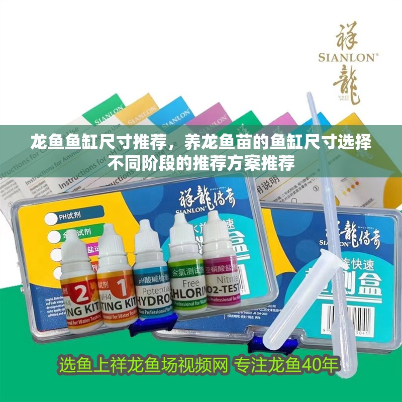 龍魚魚缸尺寸推薦，養龍魚苗的魚缸尺寸選擇不同階段的推薦方案推薦