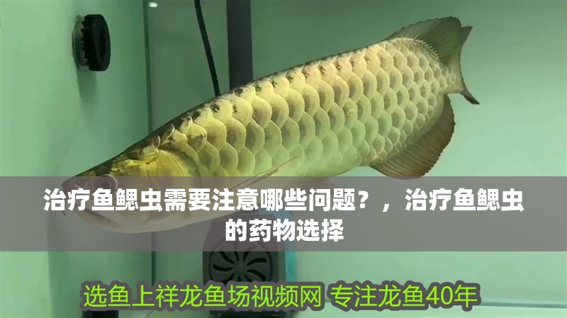 治療魚鰓蟲需要注意哪些問題？，治療魚鰓蟲的藥物選擇