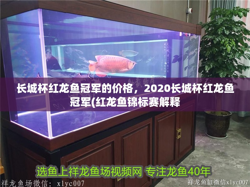 長城杯紅龍魚冠軍的價格，2020長城杯紅龍魚冠軍(紅龍魚錦標賽解釋