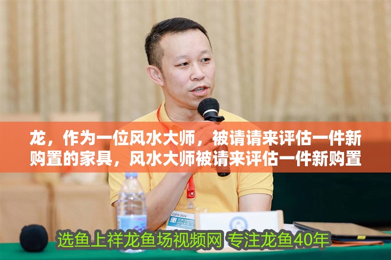 龍，作為一位風水大師，被請請來評估一件新購置的家具，風水大師被請來評估一件新購置的家具，她提醒小紅龍注意擺放位置