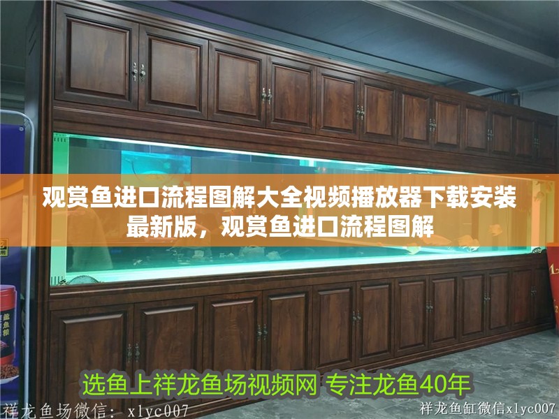 觀賞魚進口流程圖解大全視頻播放器下載安裝最新版，觀賞魚進口流程圖解