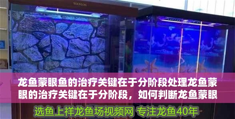 龍魚蒙眼魚的治療關鍵在于分階段處理龍魚蒙眼的治療關鍵在于分階段，如何判斷龍魚蒙眼是否嚴重