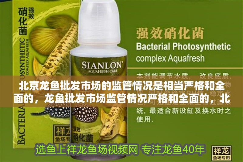 北京龍魚批發市場的監管情況是相當嚴格和全面的，龍魚批發市場監管情況嚴格和全面的，北京龍魚批發市場的價格波動大嗎？