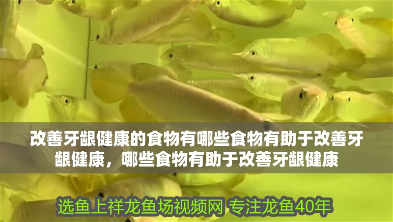 改善牙齦健康的食物有哪些食物有助于改善牙齦健康，哪些食物有助于改善牙齦健康