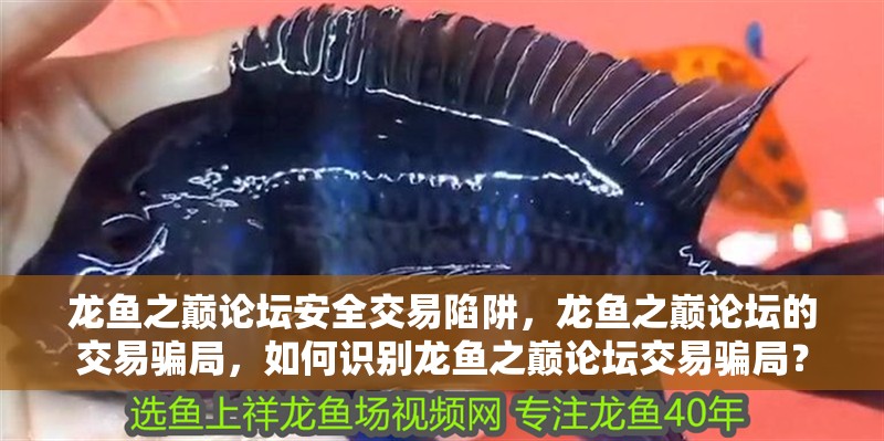 龍魚之巔論壇安全交易陷阱，龍魚之巔論壇的交易騙局，如何識別龍魚之巔論壇交易騙局？