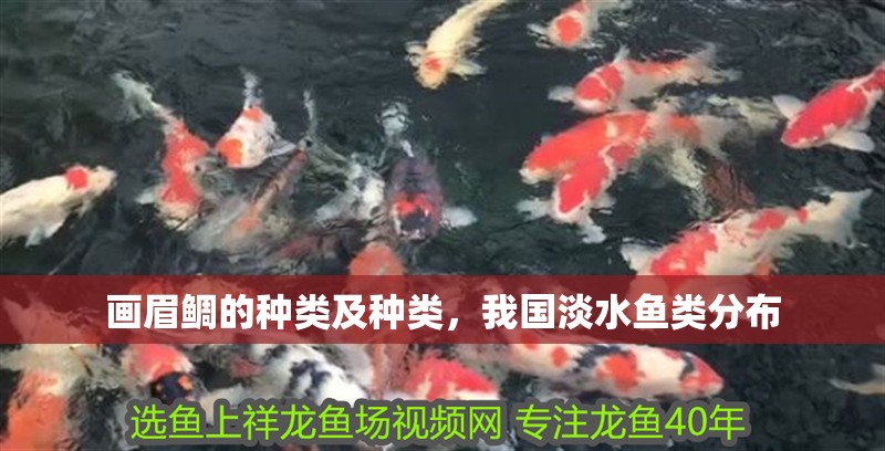 畫眉鯛的種類及種類，我國淡水魚類分布
