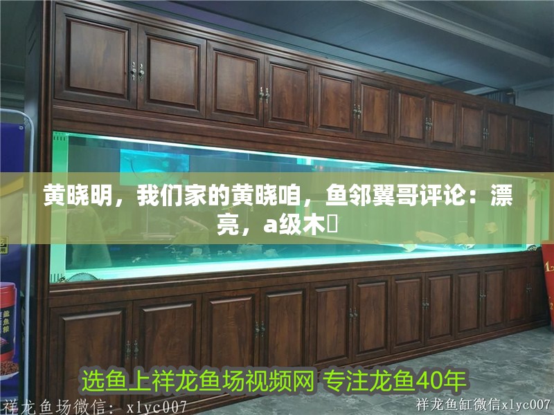 黃曉明，我們家的黃曉咱，魚鄰翼哥評論：漂亮，a級木標