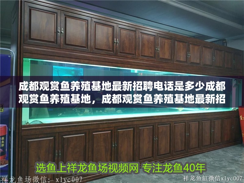 <strong><mark>成都</mark></strong>觀賞魚養殖基地最新招聘電話是多少<strong><mark>成都</mark></strong>觀賞魚養殖基地，<strong><mark>成都</mark></strong>觀賞魚養殖基地最新招聘電話