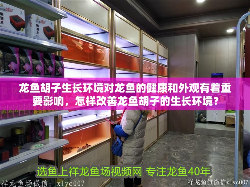 龍魚胡子生長環(huán)境對龍魚的健康和外觀有著重要影響，怎樣改善龍魚胡子的生長環(huán)境？