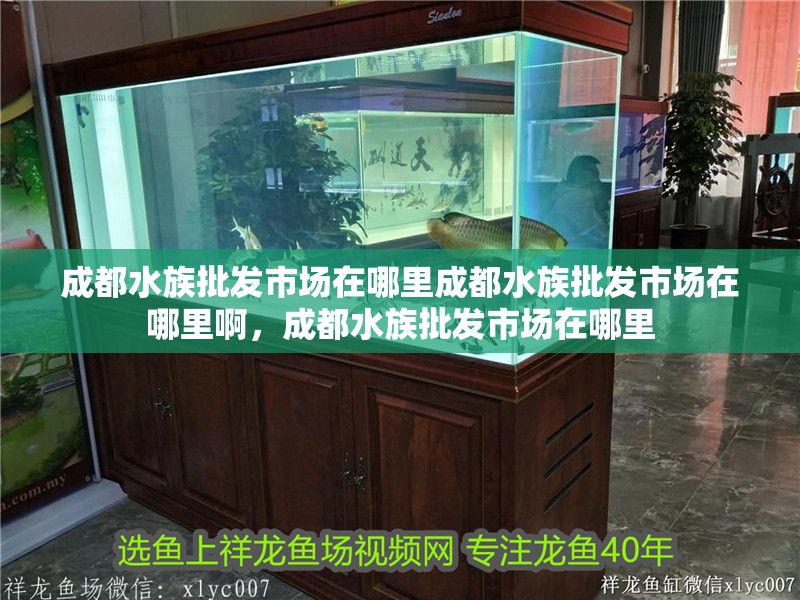 成都水族批發市場在哪里成都水族批發市場在哪里啊，成都水族批發市場在哪里