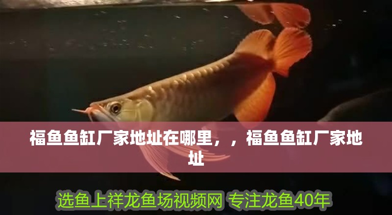 福魚魚缸廠家地址在哪里，，福魚魚缸廠家地址