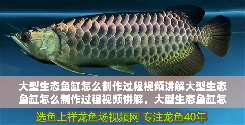 大型生態(tài)魚缸怎么制作過程視頻講解大型生態(tài)魚缸怎么制作過程視頻講解，大型生態(tài)魚缸怎么制作