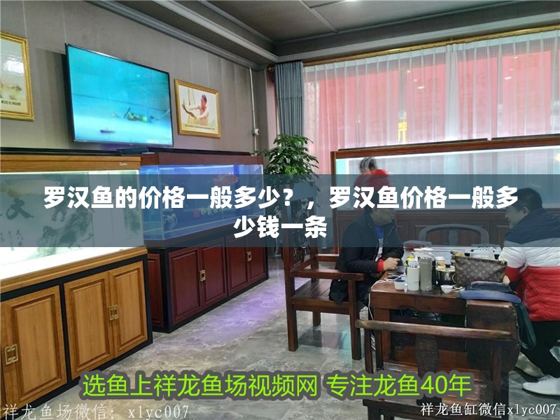 羅漢魚的價格一般多少？，羅漢魚價格一般多少錢一條