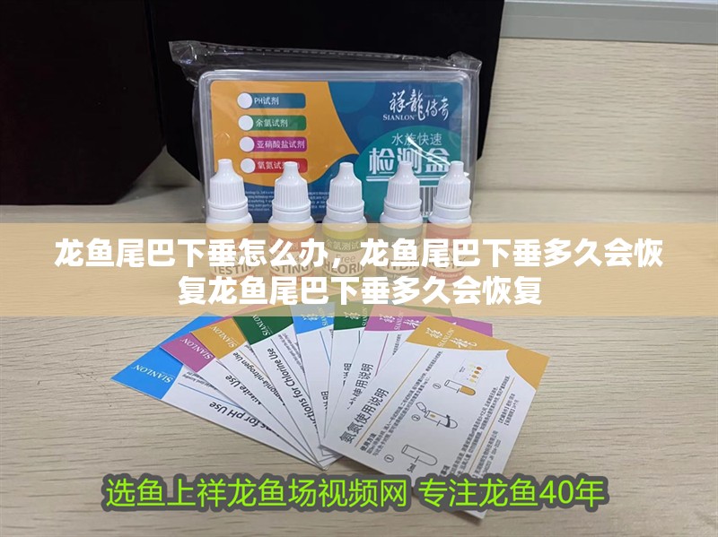 龍魚尾巴下垂怎么辦，龍魚尾巴下垂多久會恢復龍魚尾巴下垂多久會恢復