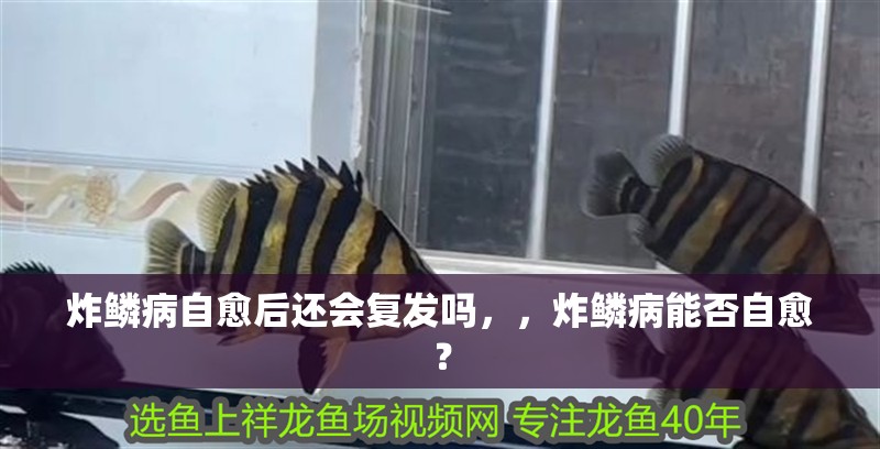 炸鱗病自愈后還會復發嗎，，炸鱗病能否自愈？