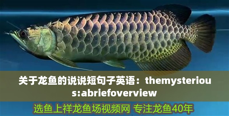 關(guān)于龍魚的說說短句子英語：themysterious:abriefoverview