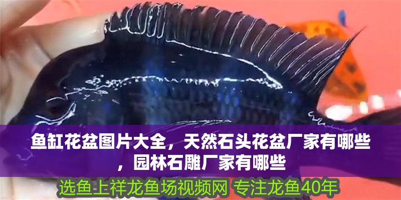 魚缸花盆圖片大全，天然石頭花盆廠家有哪些，園林石雕廠家有哪些