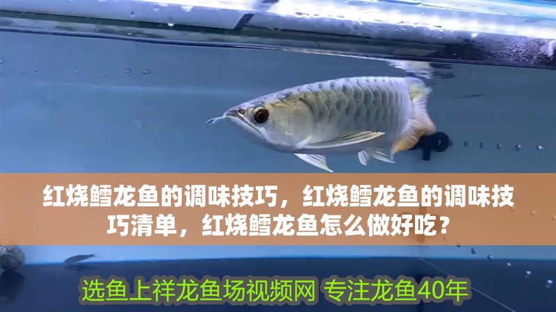 紅燒鱈龍魚的調(diào)味技巧，紅燒鱈龍魚的調(diào)味技巧清單，紅燒鱈龍魚怎么做好吃？