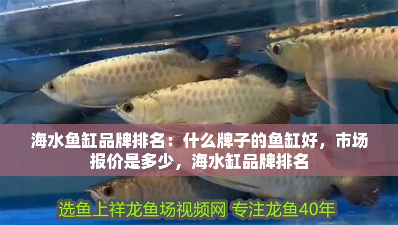 海水魚缸品牌排名：什么牌子的魚缸好，市場報價是多少，海水缸品牌排名