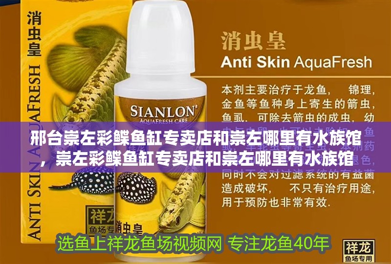 邢臺崇左彩鰈魚缸專賣店和崇左哪里有水族館，崇左彩鰈魚缸專賣店和崇左哪里有水族館