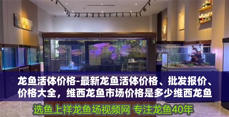 龍魚(yú)活體價(jià)格-最新龍魚(yú)活體價(jià)格、批發(fā)報(bào)價(jià)、價(jià)格大全，維西龍魚(yú)市場(chǎng)價(jià)格是多少維西龍魚(yú)怎樣養(yǎng)大一點(diǎn)