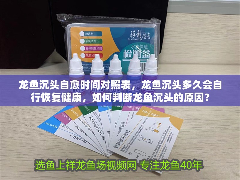 龍魚沉頭自愈時間對照表，龍魚沉頭多久會自行恢復(fù)健康，如何判斷龍魚沉頭的原因？