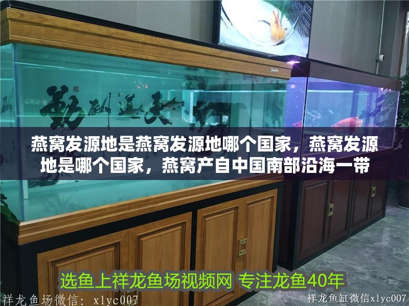 燕窩發源地是燕窩發源地哪個國家，燕窩發源地是哪個國家，燕窩產自中國南部沿海一帶