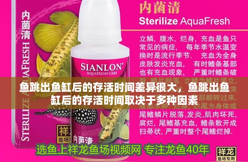 魚跳出魚缸后的存活時間差異很大，魚跳出魚缸后的存活時間取決于多種因素