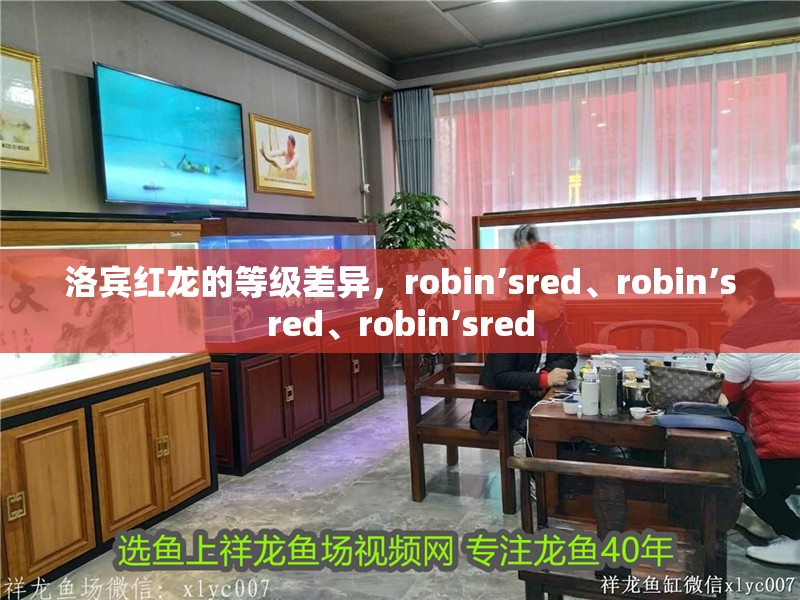 洛賓紅龍的等級(jí)差異，robin’sred、robin’sred、robin’sred
