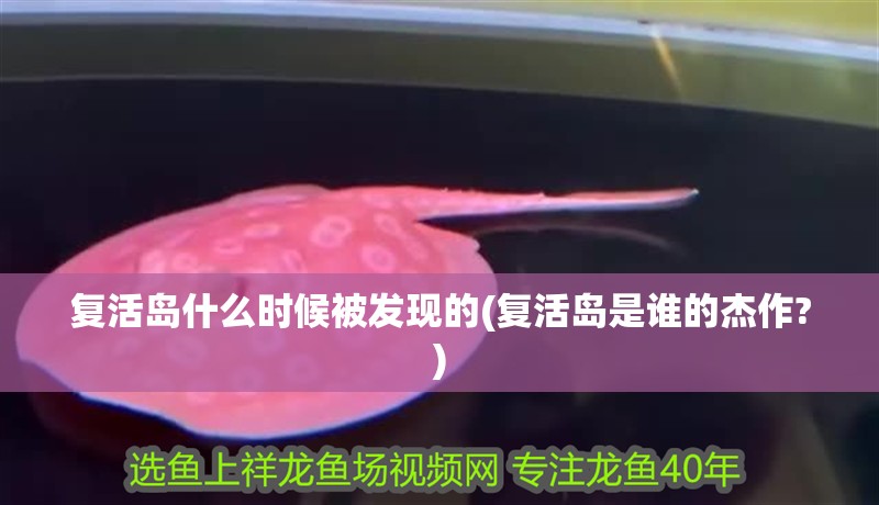 復活島什么時候被發現的(復活島是誰的杰作?)
