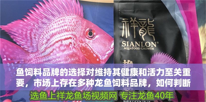 魚飼料品牌的選擇對維持其健康和活力至關(guān)重要，市場上存在多種龍魚飼料品牌，如何判斷龍魚飼料的質(zhì)量好壞？