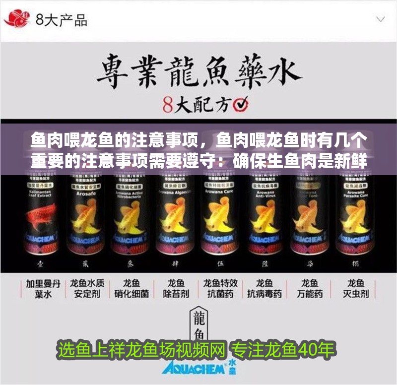 魚肉喂龍魚的注意事項(xiàng)，魚肉喂龍魚時(shí)有幾個(gè)重要的注意事項(xiàng)需要遵守：確保生魚肉是新鮮的