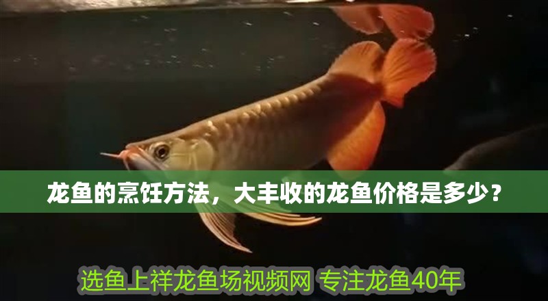 龍魚的烹飪方法，大豐收的龍魚價格是多少？