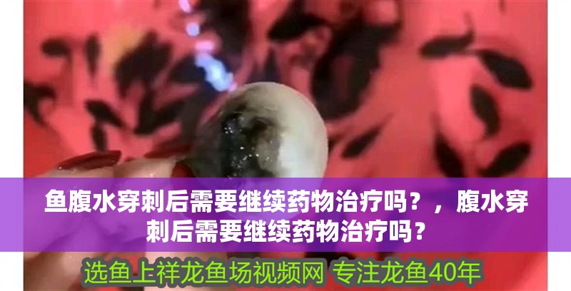魚腹水穿刺后需要繼續藥物治療嗎？，腹水穿刺后需要繼續藥物治療嗎？