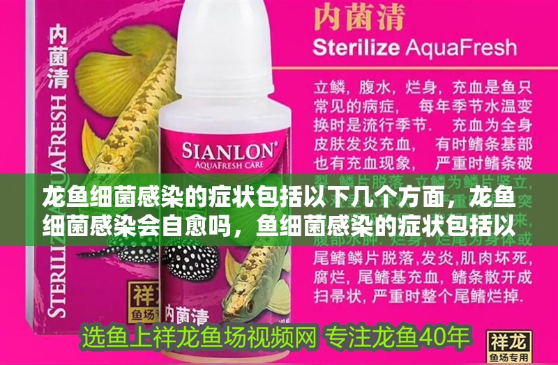 龍魚細(xì)菌感染的癥狀包括以下幾個(gè)方面，龍魚細(xì)菌感染會(huì)自愈嗎，魚細(xì)菌感染的癥狀包括以下幾個(gè)方面，龍魚細(xì)菌感染會(huì)自愈嗎