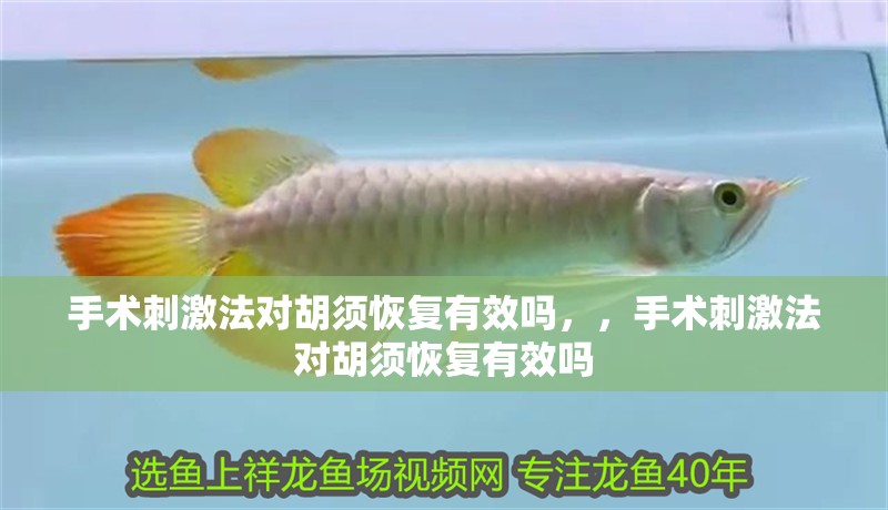 手術刺激法對胡須恢復有效嗎，，手術刺激法對胡須恢復有效嗎