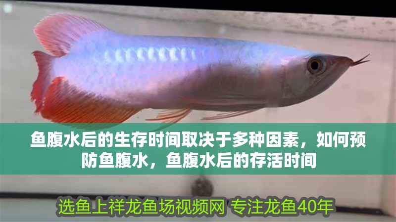魚腹水后的生存時間取決于多種因素，如何預防魚腹水，魚腹水后的存活時間