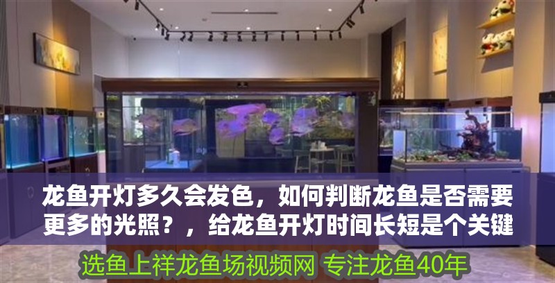 龍魚開燈多久會發色，如何判斷龍魚是否需要更多的光照？，給龍魚開燈時間長短是個關鍵問題