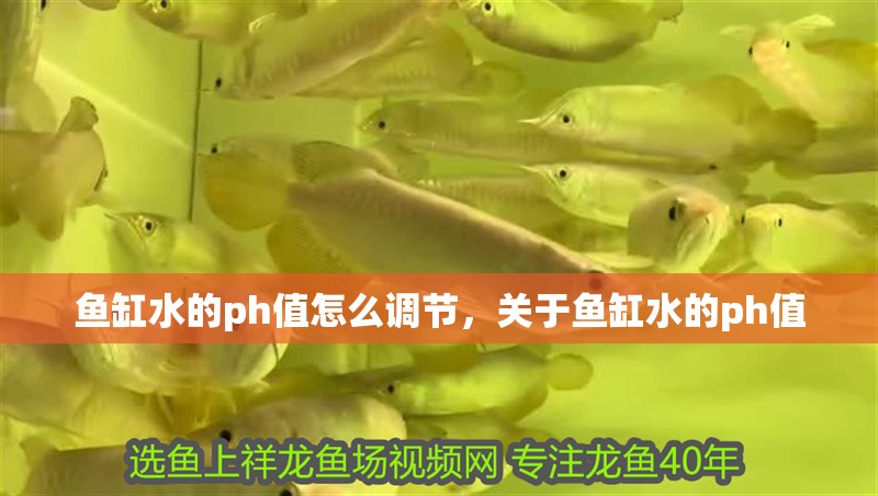 魚缸水的ph值怎么調(diào)節(jié)，關(guān)于魚缸水的ph值