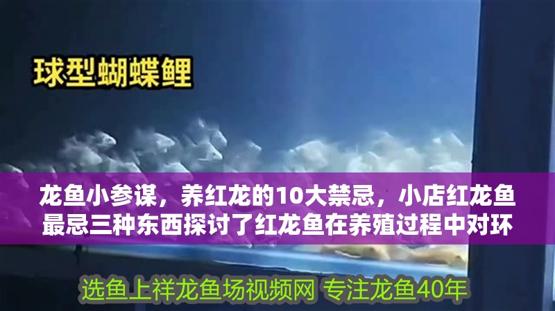 龍魚小參謀，養紅龍的10大禁忌，小店紅龍魚最忌三種東西探討了紅龍魚在養殖過程中對環境因素的敏感度