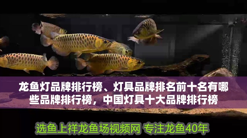 龍魚燈品牌排行榜、燈具品牌排名前十名有哪些品牌排行榜，中國(guó)燈具十大品牌排行榜