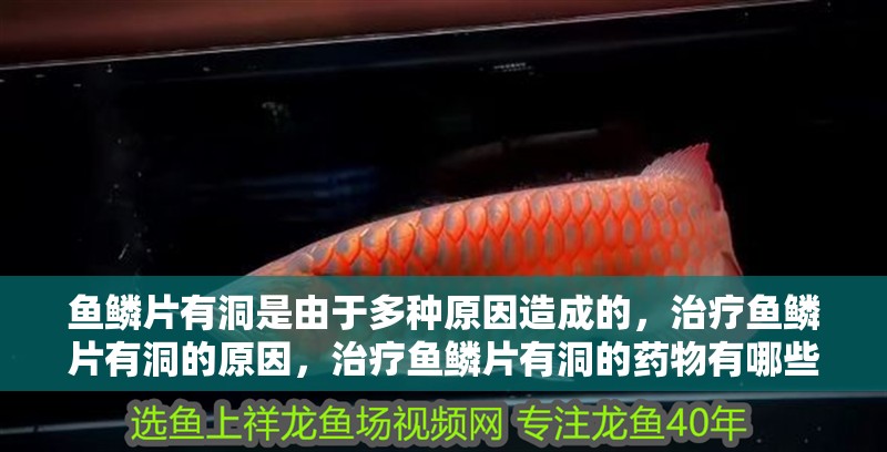 魚鱗片有洞是由于多種原因造成的，治療魚鱗片有洞的原因，治療魚鱗片有洞的藥物有哪些